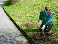 Meister im Garten- und Landschaftsbau (m/w/d) in Gotha - 131344 Thüringen - Gotha Vorschau