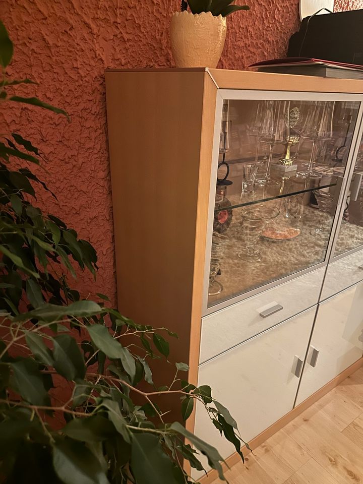 Wohnwand Vitrine mit Beleuchtung in Hirzenhain