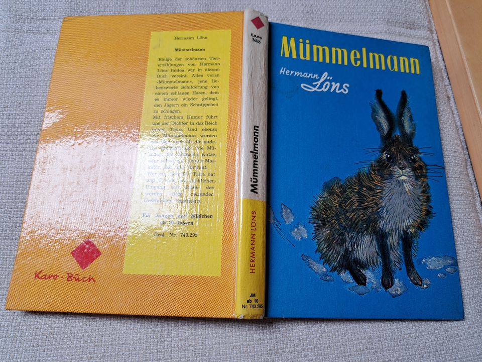 altes Kinderbuch, Mümmelmann, Hermann Löns in Mönchenholzhausen