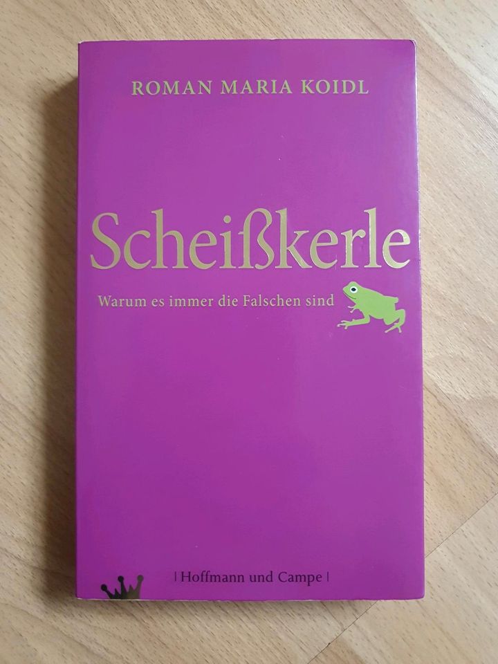 Das Buch Scheißkerle Roman Maria Koidl neuwertig in Ansbach