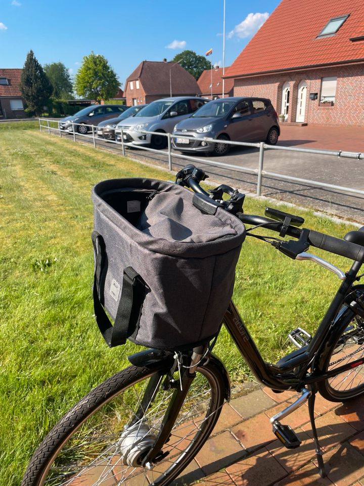 E bike Fahrrad Damen in Papenburg
