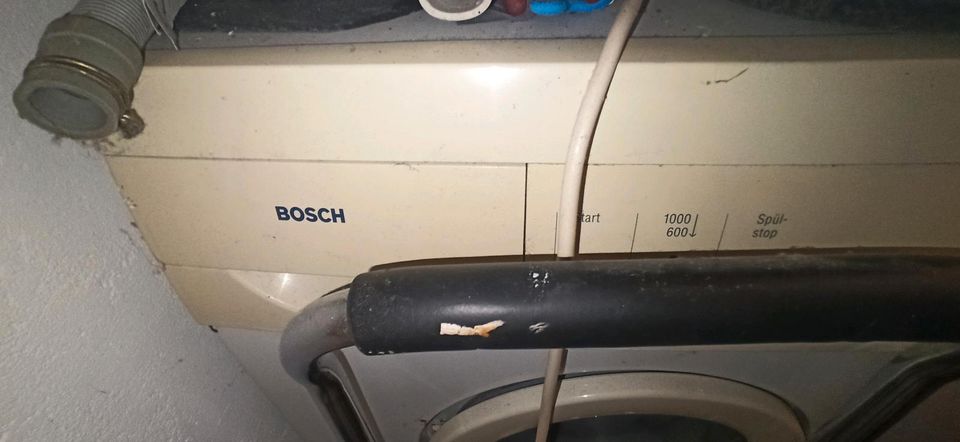 Bosch Waschmaschine sehr zuverlässig in Essen