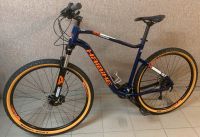 Fahrrad Mountainbike Haibike Hardnine 5.0 Top Zustand! Thüringen - Worbis Vorschau