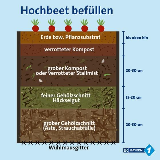 Äste / Totholz / Astwerk / Zweige - für Benjeshecke oder Hochbeet in Alt Zauche-Wußwerk