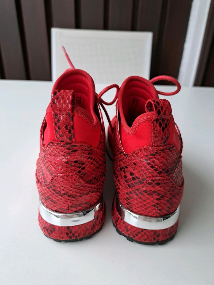 Sneaker Gr. 37 rot neu in Filderstadt