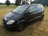 Lancia Musa 1,9L Diesel Rentnerfahrzeug Fiat Brandenburg - Burg (Spreewald) Vorschau