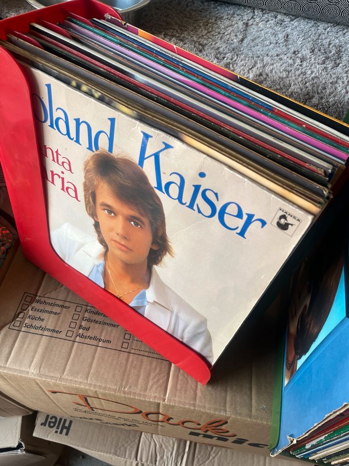 Schallplatten in Zemmer