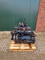 Case Ihc 1455 Motor 402TT Nordrhein-Westfalen - Bocholt Vorschau