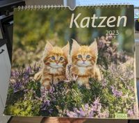 Verschenke Katzen Kalender 2023 Niedersachsen - Bad Nenndorf Vorschau