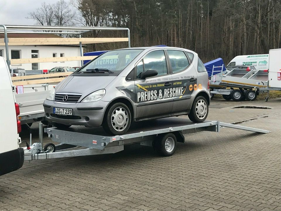 ⭐️ Eduard Auto Transporter 1500 kg 330x180  Rampen Winde 56 in Schöneiche bei Berlin