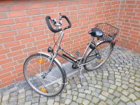 Damen Fahrrad 28er Rahmen Nordrhein-Westfalen - Paderborn Vorschau