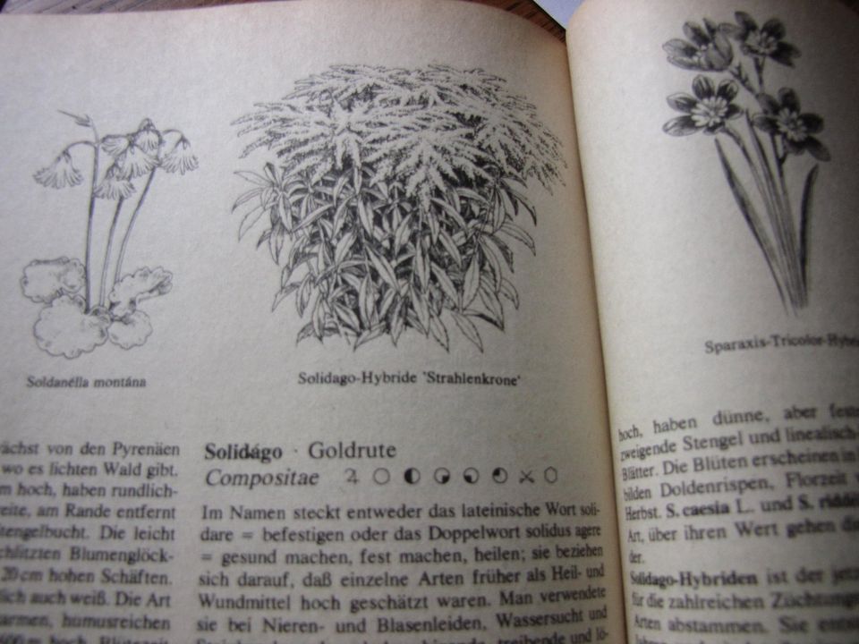 Gartenbücher > 2 Stck. Gartenblumen + Gartenratgeber in Zschadraß