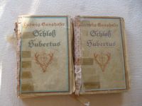 Schloß Hubertus 2 Bände 1920 Antiquar Bücher Brandenburg - Großwoltersdorf Vorschau