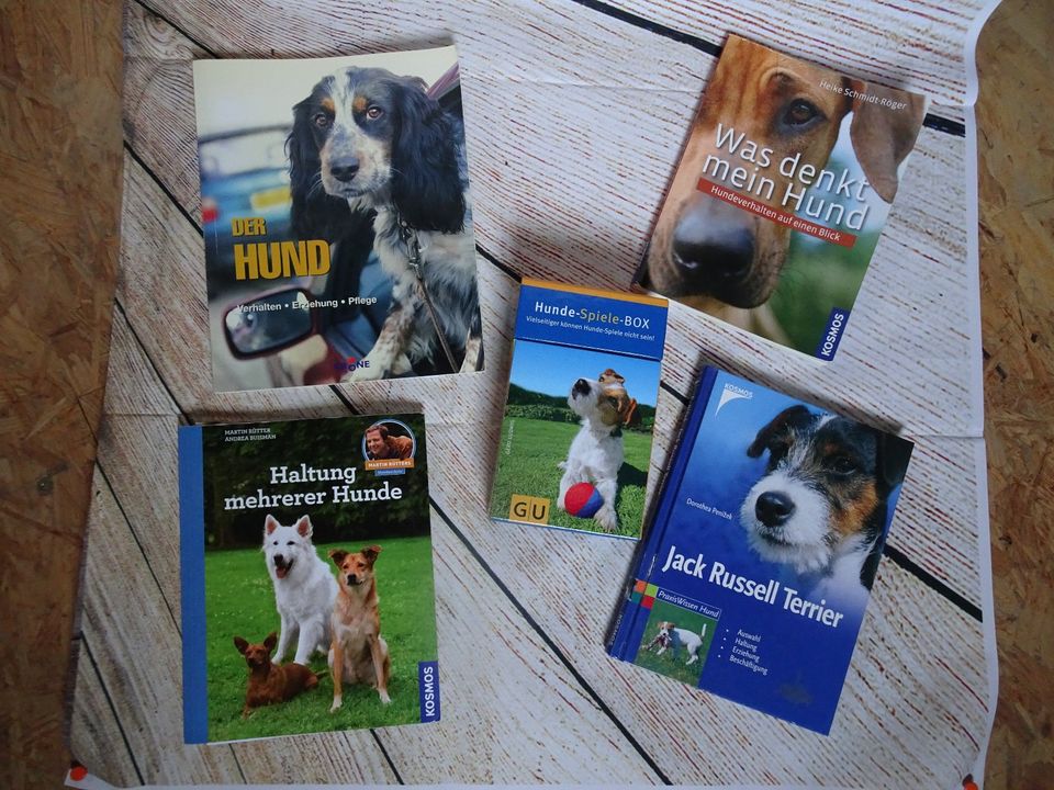 Hundebuch Bücher Zeitungen Hund Fachbuch Spielkarten Hundepielbox in Reinsberg