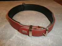 HUNTER BASIC Hundehalsband - Kunstleder - rot - Gr. 60 Hessen - Offenbach Vorschau