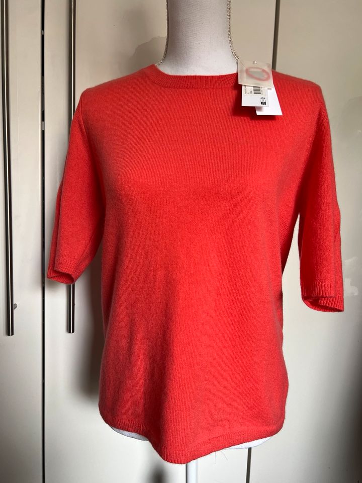 Notshy Kaschmir Pullover XL 42 Oberteil neu in Essen