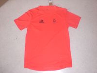 DOSB Olympia T-Shirt!Gr.S NEU&OVP!TEAM DEUTSCHLAND!Adidas! Profi! Hessen - Babenhausen Vorschau