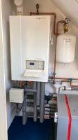 Gas-Brennwerttherme Viessmann Vitodens 300 plus  WWB Vitocell 300 Nordrhein-Westfalen - Swisttal Vorschau