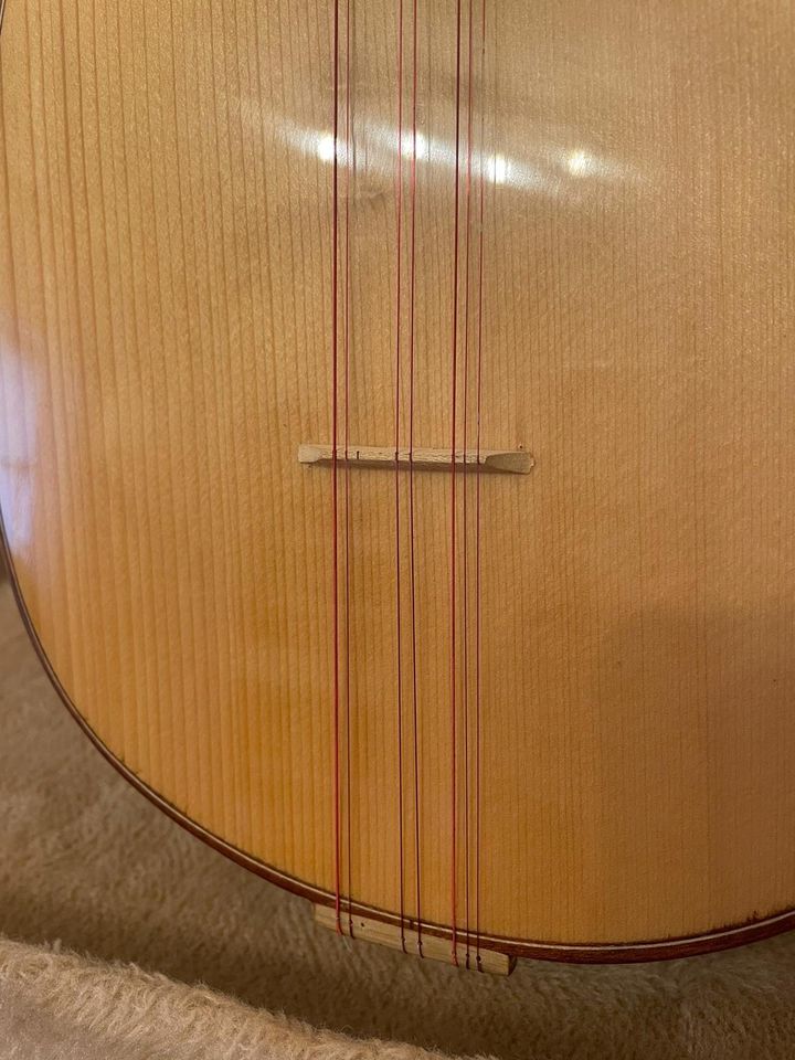 Bağlama Saz (Orientalische Gitarre) in Hanau