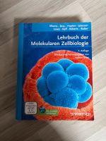 Lehrbuch der molekularen Zellbiologie (kleiner Albert) Niedersachsen - Wunstorf Vorschau