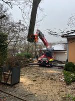 Landschaftspflege Wimmer Baumfällung Baumpflege Bayern - Altenkunstadt Vorschau