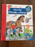 Wieso weshalb warum Alles über Pferde und Ponys Baden-Württemberg - Ostfildern Vorschau