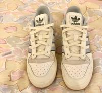 Adidas Schuhe Größe 40 Thüringen - Altenburg Vorschau