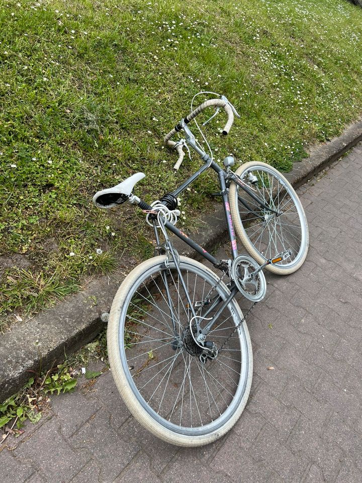 Fahrrad Alfira in Offenbach