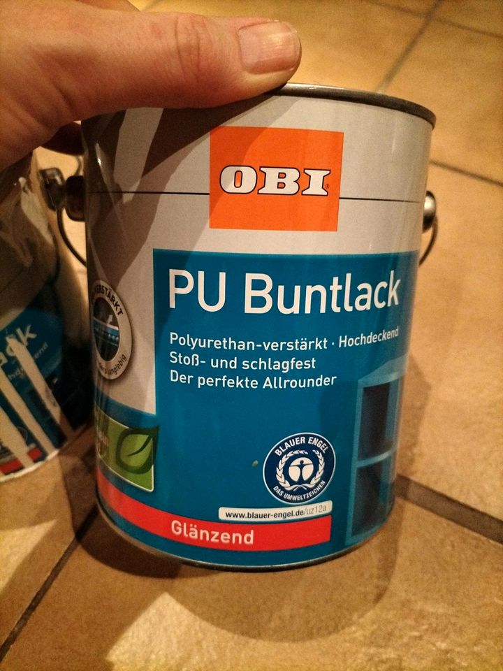 PU Buntlack Glänzend insgesamt ca. 3 Liter (ca. 37 qm) in Visselhövede