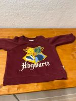 Harry Potter Pullover Kleinkind Grösse 80 Nordrhein-Westfalen - Borchen Vorschau