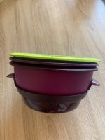 Tupperware Dampfgarer Microgourmet inkl. Zubehör & Rezeptbuch Schleswig-Holstein - Itzstedt Vorschau