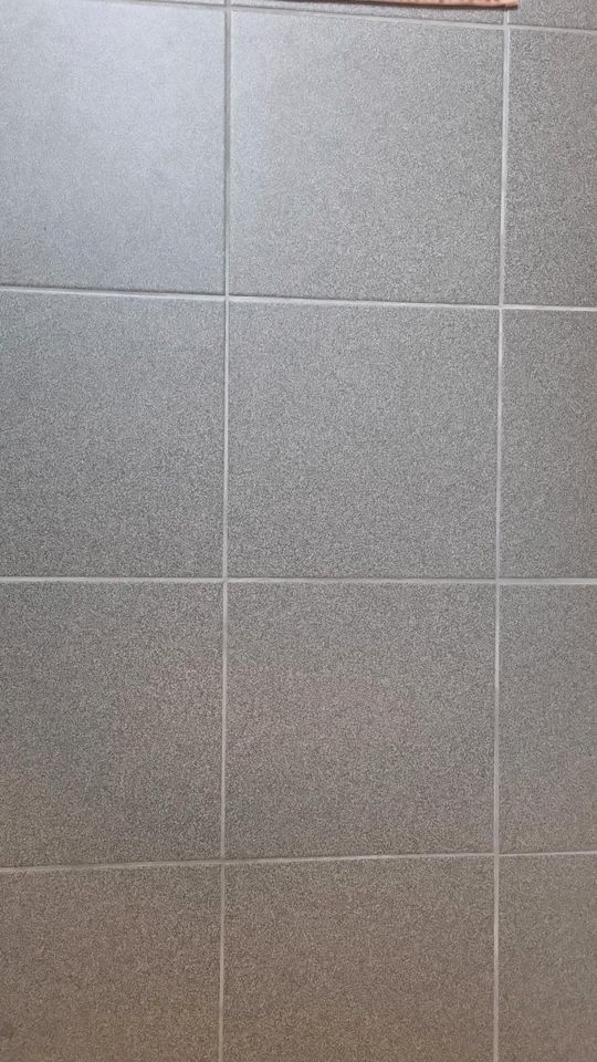 Feinsteinzeug 30x30 Wand- /Bodenfliese grau in Aurich