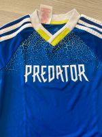 Adidas Predator Shirt Bayern - Gößweinstein Vorschau