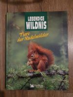 Buch: Lebendige Wildnis - Tiere der Nadelwälder Bayern - Augsburg Vorschau