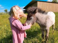 Ferienwohnung Ostsee Kurzurlaub Bauernhof Reiten Pferde Angeln Kreis Ostholstein - Schönwalde Vorschau