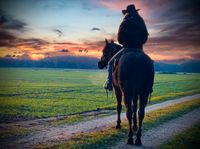 Western Reiten Beritt Reitunterricht Bodenarbeit Horsemanship Bayern - Rohr Mittelfr. Vorschau