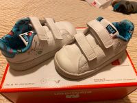 Adidas Schuhe für Jungs 22 Wuppertal - Elberfeld Vorschau