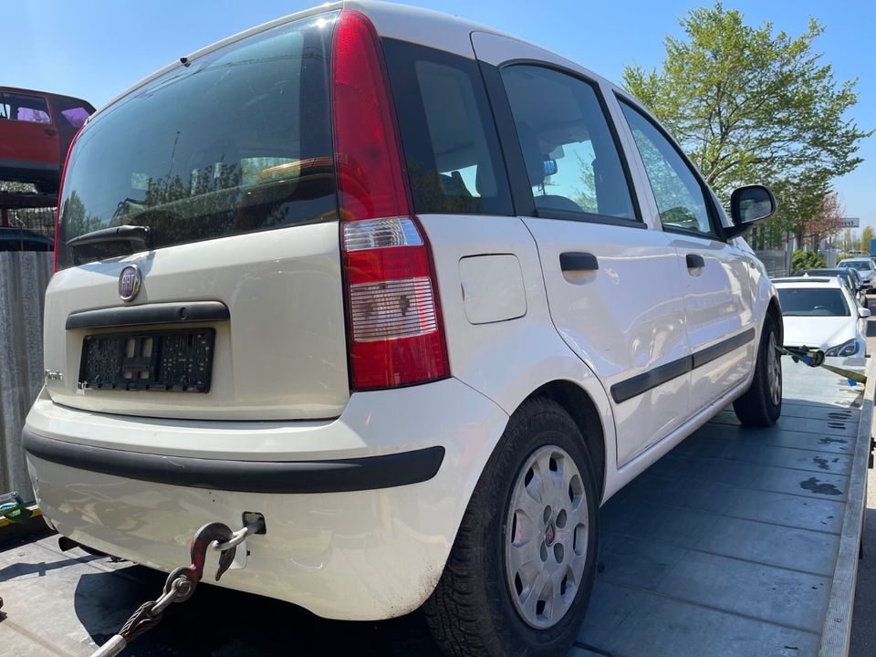 Schlachtfest Fiat Panda in Ludwigshafen