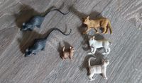 Figuren-Set Ratten/Mäuse, Katzen Bayern - Nersingen Vorschau