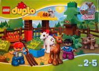 Lego Duplo / vollständiges Set 10582 / Wildtiere Wandsbek - Hamburg Sasel Vorschau