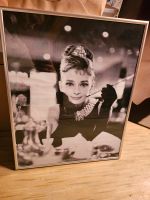 Bild Wandbild Poster Audrey Hepburn Nordrhein-Westfalen - Höxter Vorschau