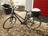 Trekking Bike Red Bull Black Creek 3 Damen von ROSE Niedersachsen - Ostrhauderfehn Vorschau