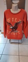 Pulli Gr. M Bayern - Luhe-Wildenau Vorschau