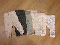 6er Set Baby Hosen / Jogginghose, Gr. 74/80 Horn-Lehe - Lehesterdeich Vorschau