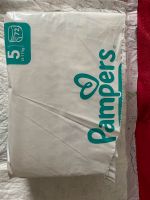 Pampers premium Protection Gr. 5 Rostock - Südstadt Vorschau