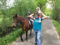 Pflegepferd oder Pony für Mama-Kind-Gespann gesucht Kreis Pinneberg - Rellingen Vorschau