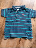 1,50 € Polo Shirt Gr. 9 - 12 Monate Zara baby Thüringen - Erfurt Vorschau