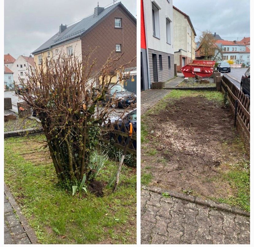 Gartenarbeiten / Heckenschneiden / Rasenmähen / Baumfällung in Saarlouis