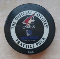 Official Warm Up Puck NHL Phoenix Coyotes Puk Eishockeypuck Thüringen - Meiningen Vorschau