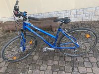 Stevens Damenfahrrad GX Cross 28“ Bayern - Bergrheinfeld Vorschau